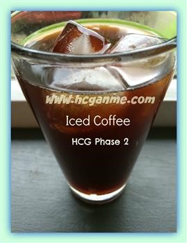 &quot;Hcg Gourmet Recipes