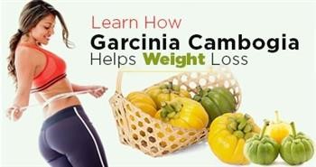 &quot;Cabbage Recipes For Hcg Diet Using Shrimp