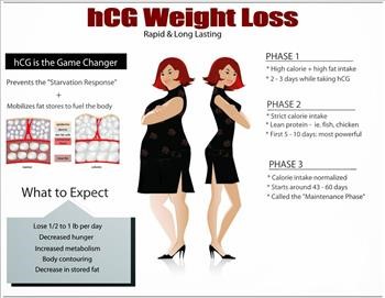 &quot;Hcg Diet Plan Recipes Phase 1