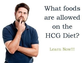 &quot;101 Worry Free Hcg Diet Recipes Pdf