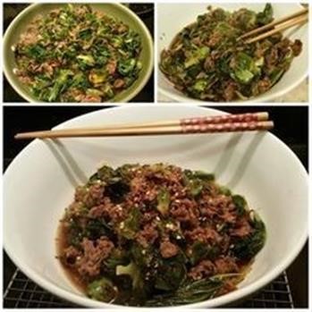 &quot;Hcg Recipes Ground Venison Nutrition