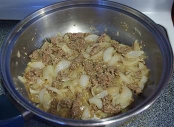 &quot;Hcg Recipes Ground Venison Stroganoff